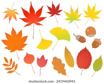 Set of autumn leaves and acorns