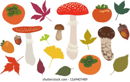 Set of autumn leaves and acorns and mushrooms and persimmons vector illustrations isolated on the white background  / fly agaric / fungus / fungi / toadstools/ boletus/ Matsutake