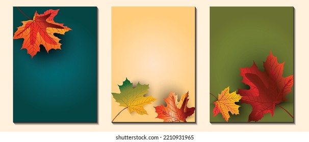 set autumn leaves banner background vector illustration