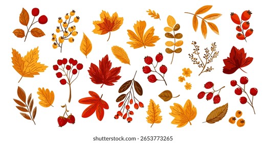 Conjunto de folhas de outono e bagas. Clipart botânico de outono com folhas de queda desenhadas à mão e plantas em tons sazonais quentes. Perfeito para o Dia de Ação de Graças, embalagem, cartões de felicitações e design digital.