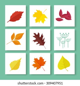 set of autumn leaves and berries in flat style. isolated on white background