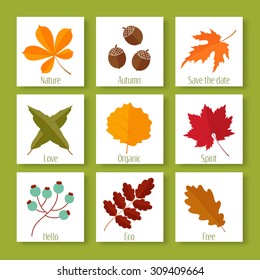 set of autumn leaves and berries in flat style. isolated on white background