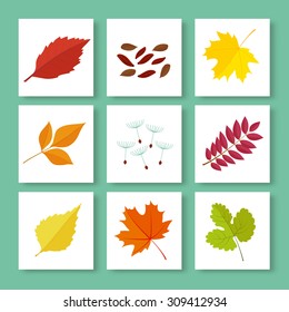 set of autumn leaves and berries in flat style. isolated on white background