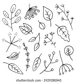 Set of autumn leaves, berries and herbs. Vector hand-drawn doodle illustration. Black and white outline. Coloring for children. Silhouette.