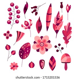 Set of autumn leaves, berries and mushrooms. Colorful flat elements isolated on white background. Vector illustration.