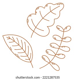 Set with autumn leaves and berries. Outline vector illustration.