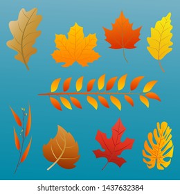 Set of autumn leaves and berries. vector illustration.