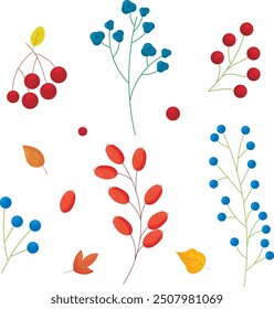 Set of autumn leaves and berries. Vector illustration in flat style.