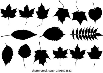 Set Of Autumn Leaves. Black Silhouette Isolated On White Background.