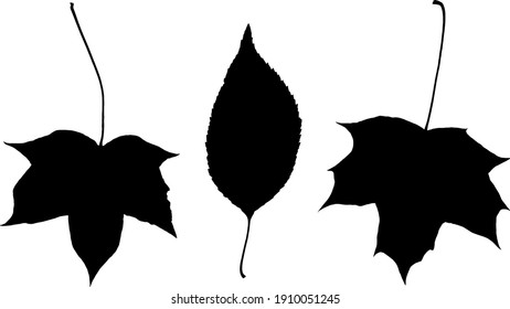set of autumn leaves. black silhouette isolated on white background.