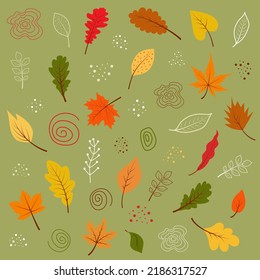 Set of autumn leaves and boho elements. Trendy autumn vintage decorations. Vector illustration.