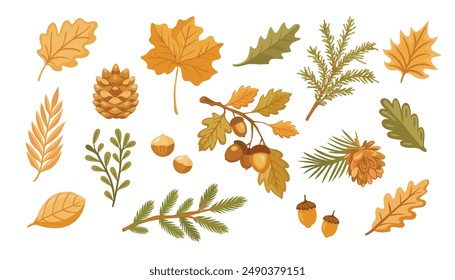 Set of autumn leaves, branches, acorns and cones. Forest nature orange leafage and september red leaves. Chestnut, dog rose and viburnum or foliage leaf. Vector illustration