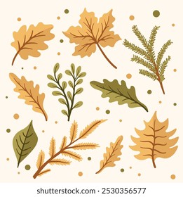 Set of autumn leaves, branches, acorns and cones