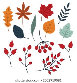 Set of autumn leaves and branches of berries