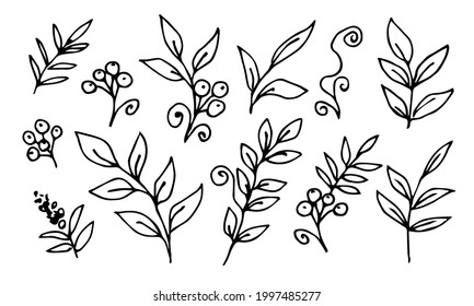 Set of autumn leaves, branches, rowan berries, twigs. Simple hand-drawn vector sketch for seasonal design.