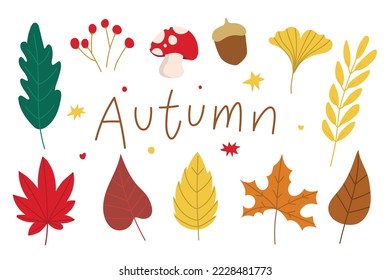 Set of autumn leaves for card decorate.