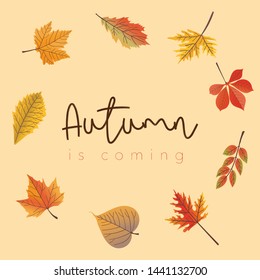 Set of autumn leaves in the circle arrangement. Aim for background, printing and card. 