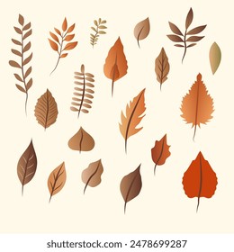 set of autumn leaves collection set