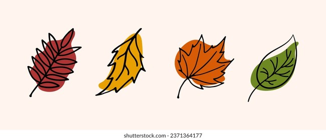 Set autumn leaves. Colored autumn leaves of aspen, birch, maple, rowan. Doodle Vector illustration.