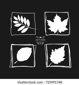 A set of autumn leaves. Creative icons of tree leaves. Black hand-drawn squares.
