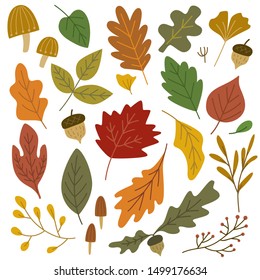 Set of autumn leaves design element
