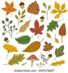 Set of autumn leaves design element