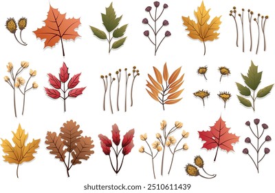 Set of autumn leaves. Design elements of red color for the autumn season. Organically natural branches and plants. Different leaves illustration.