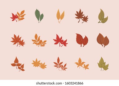 Set of autumn leaves design, season nature ornament garden decoration and botany theme Vector illustration