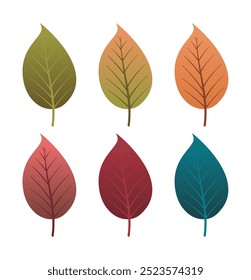Set of autumn leaves from different color. Simple green, yellow, red, orange fall leaf set for pattern, banner, sticker, and autumn card. Flat vector illustration isolated on white background