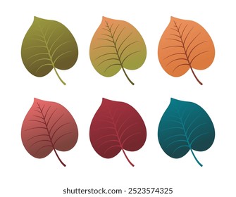 Set of autumn leaves from different color. Simple green, yellow, red, orange fall leaf set for pattern, banner, sticker, and autumn card. Flat vector illustration isolated on white background