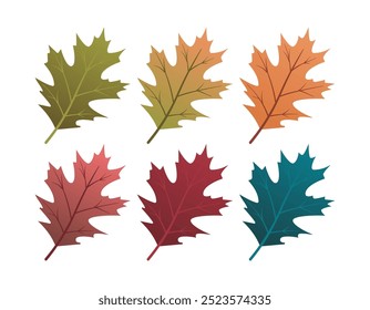 Set of autumn leaves from different color. Simple green, yellow, red, orange fall leaf set for pattern, banner, sticker, and autumn card. Flat vector illustration isolated on white background