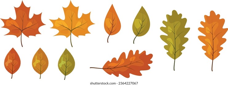 Set of autumn leaves. Different green red and orange leaves (oak, maple, birch, aspen leaves)