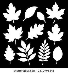 Eine Reihe von Herbstblättern verschiedener Formen auf schwarzem Hintergrund. Eine Sammlung von weißen Silhouetten von Herbstblättern von verschiedenen Bäumen wie Eiche, Ahorn, Kastanie. Vektor-EPS 10.