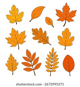 A set of autumn leaves of different shapes on a white background. Colorful autumn set. Vector EPS 10.