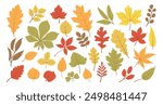 Set of autumn leaves from different trees, oak, maple, chestnut. Simple, yellow, red, orange fall leaf set for pattern, banner, sticker, Hello autumn card. Flat vector illustration on white background