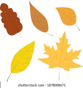Herbstblätter auf weißem Hintergrund