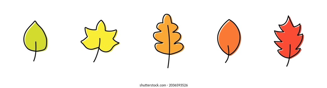 Set of autumn leaves of different trees isolated on white background. Leaves of different colors are hand-drawn. Vector illustration
