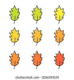 Set of autumn leaves of different trees isolated on white background. Leaves of different colors are hand-drawn. Vector illustration

