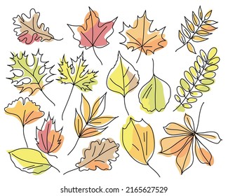 Set of autumn leaves of different trees isolated on white background. Leaves in linear art with the addition of colored spots. Leaves of maple, oak, chestnut, acacia, ash, ginkgo. Vector illustration.