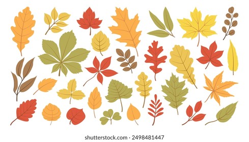 Herbstlaub aus verschiedenen Bäumen, Eiche, Ahorn, Kastanie. Einfaches, gelbes, rotes, orangefarbenes Herbstblatt-Set für Muster, Banner, Aufkleber, Hallo Herbstkarte. Flache Vektorgrafik auf weißem Hintergrund