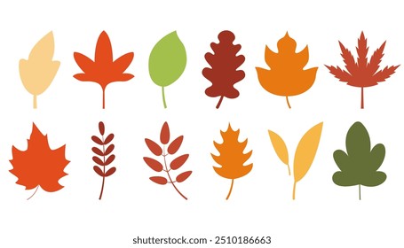 Set of of autumn leaves of different trees, collection leaves silhouettes. Flat vector illustration