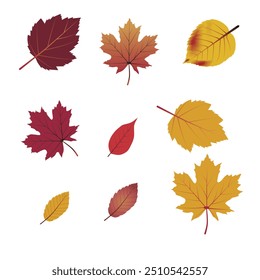 Set of autumn leaves from different trees, Hello autumn card. Flat vector illustration on white background.