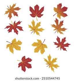 Conjunto de folhas de outono de árvores diferentes, Olá cartão de outono. Ilustração de vetor plano sobre fundo branco.