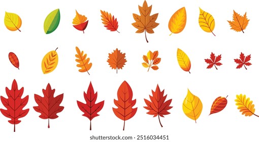 Set of autumn leaves from different trees, oak, maple, chestnut. Simple, yellow, red, orange fall leaf set for pattern, banner, sticker, Hello autumn card. Flat vector illustration on white background