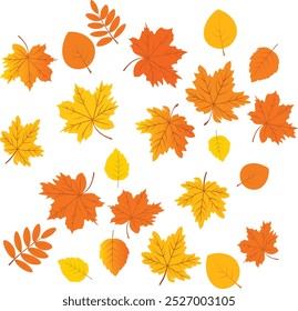A set of autumn leaves from different trees, linden, maple, acacia. Yellow, red, orange, falling leaves, pattern set, banner, sticker. Vector illustration on a white background.