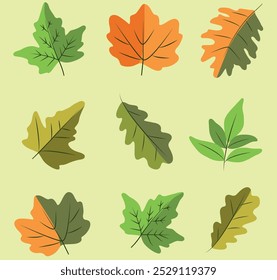 A set of autumn leaves from different trees. A simple set of yellow, red, orange autumn leaves for banner design, stickers, postcards. Flat vector illustration