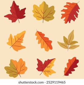 A set of autumn leaves from different trees. A simple set of yellow, red, orange autumn leaves for banner design, stickers, postcards. Flat vector illustration