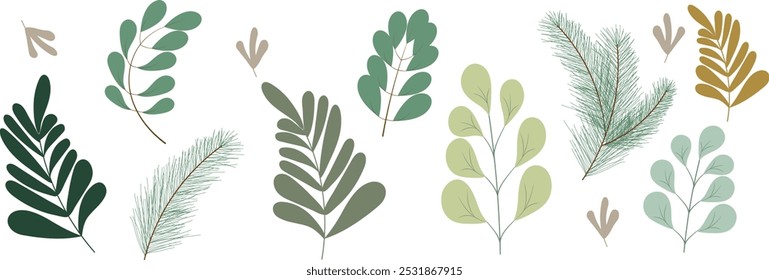 Set of autumn leaves from different trees, oak, maple, chestnut. Simple, green, red, orange fall leaf set for pattern, banner, sticker, Hello autumn card. Flat vector illustration on white background