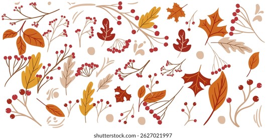 Set of autumn leaves from different trees, oak, maple, chestnut. Simple, yellow, red, orange fall leaf set for pattern, banner, sticker, Hello autumn card.