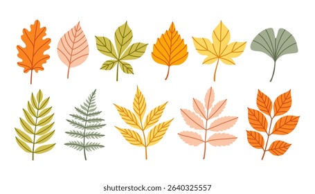 Set of autumn leaves from different trees, oak, maple, chestnut, ash, birch. Simple yellow, red, orange fall leaf set for pattern, banner, sticker. Hello autumn card. Flat vector illustration.